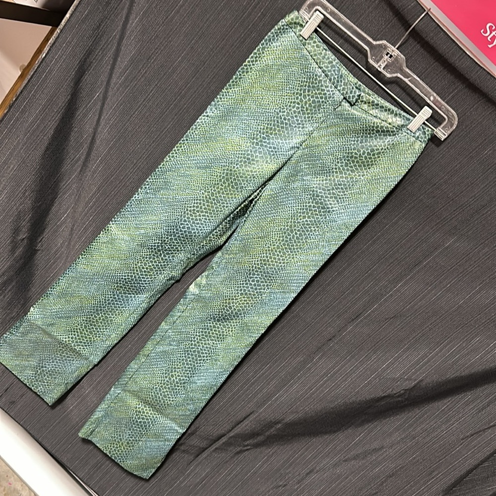 Express Stretch /Green Polyester/Spandex Pants / … - image 4
